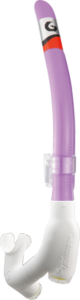 Fuji Purple